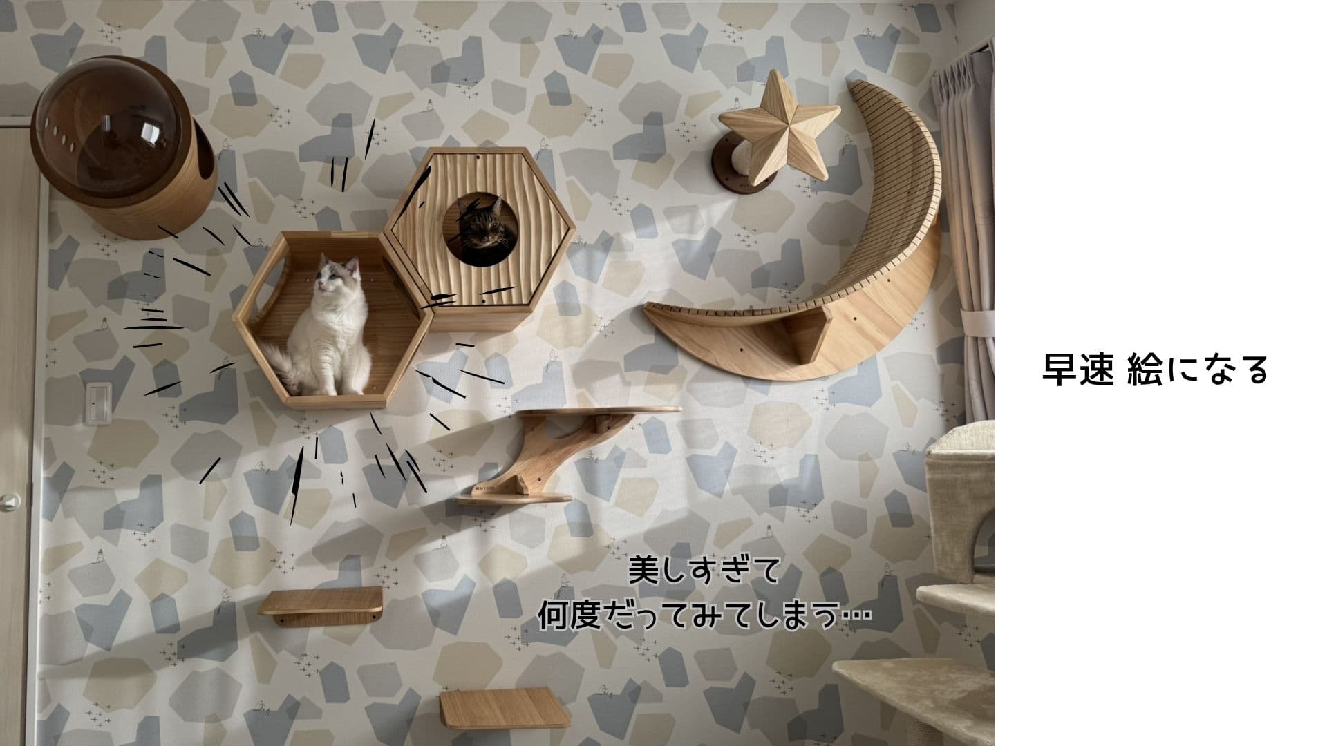 千葉県の施工事例「MYZOO設置工事」の施工後写真